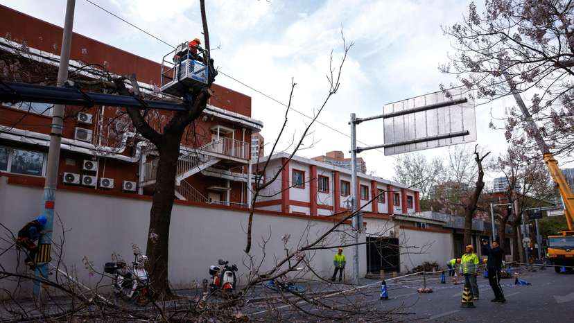 Emergency team members cut off tree branches following strong winds that damaged a power pole, in Beijing