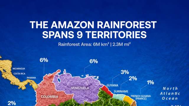 Amazon rainforest spans nine territories, with most of it in Brazil
