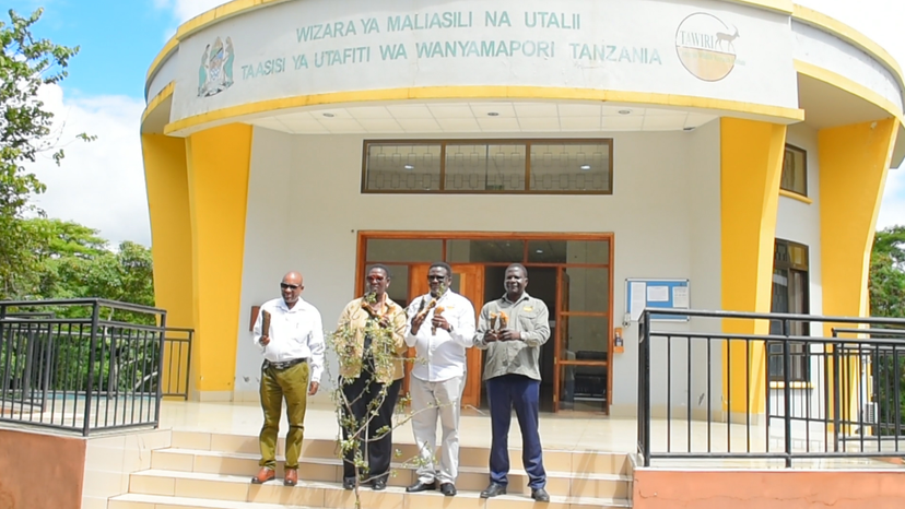Tanzanian researchers find natural cure for baldness and skin ageing