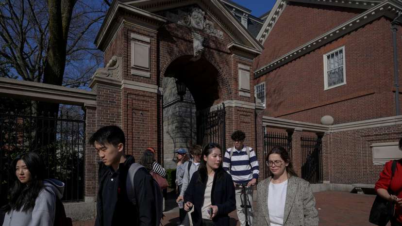 Views of Harvard University