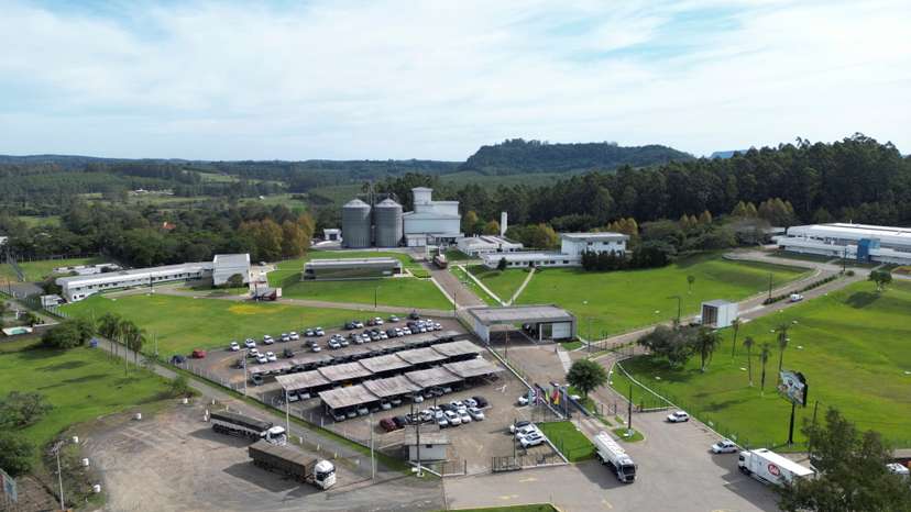 Bird flu in top chicken exporter Brazil triggers trade bans