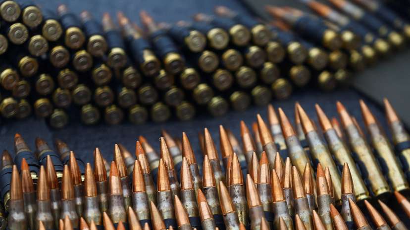 Military exercises of the Siberian Battalion in Kyiv region