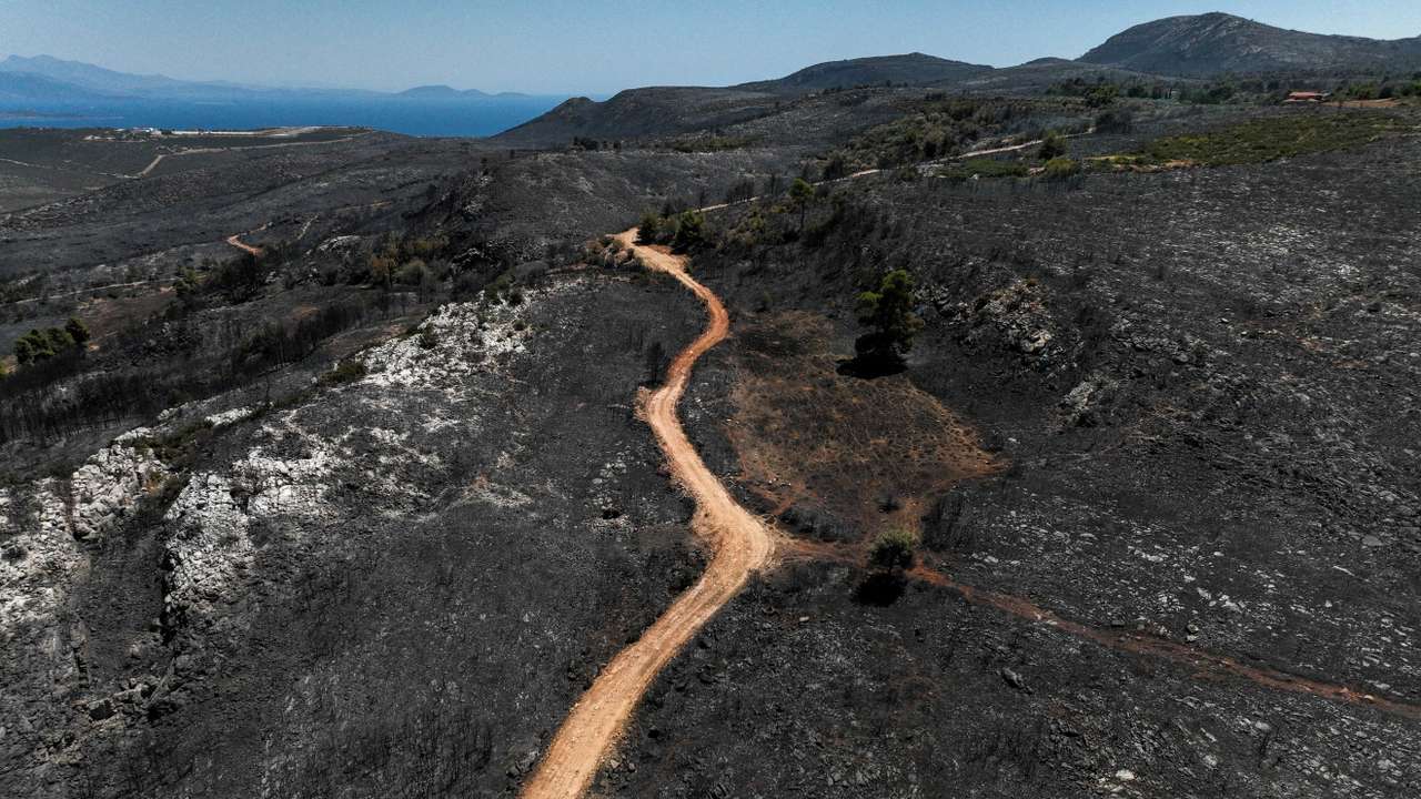 Aftermath of a wildfire in Marathon near Athens