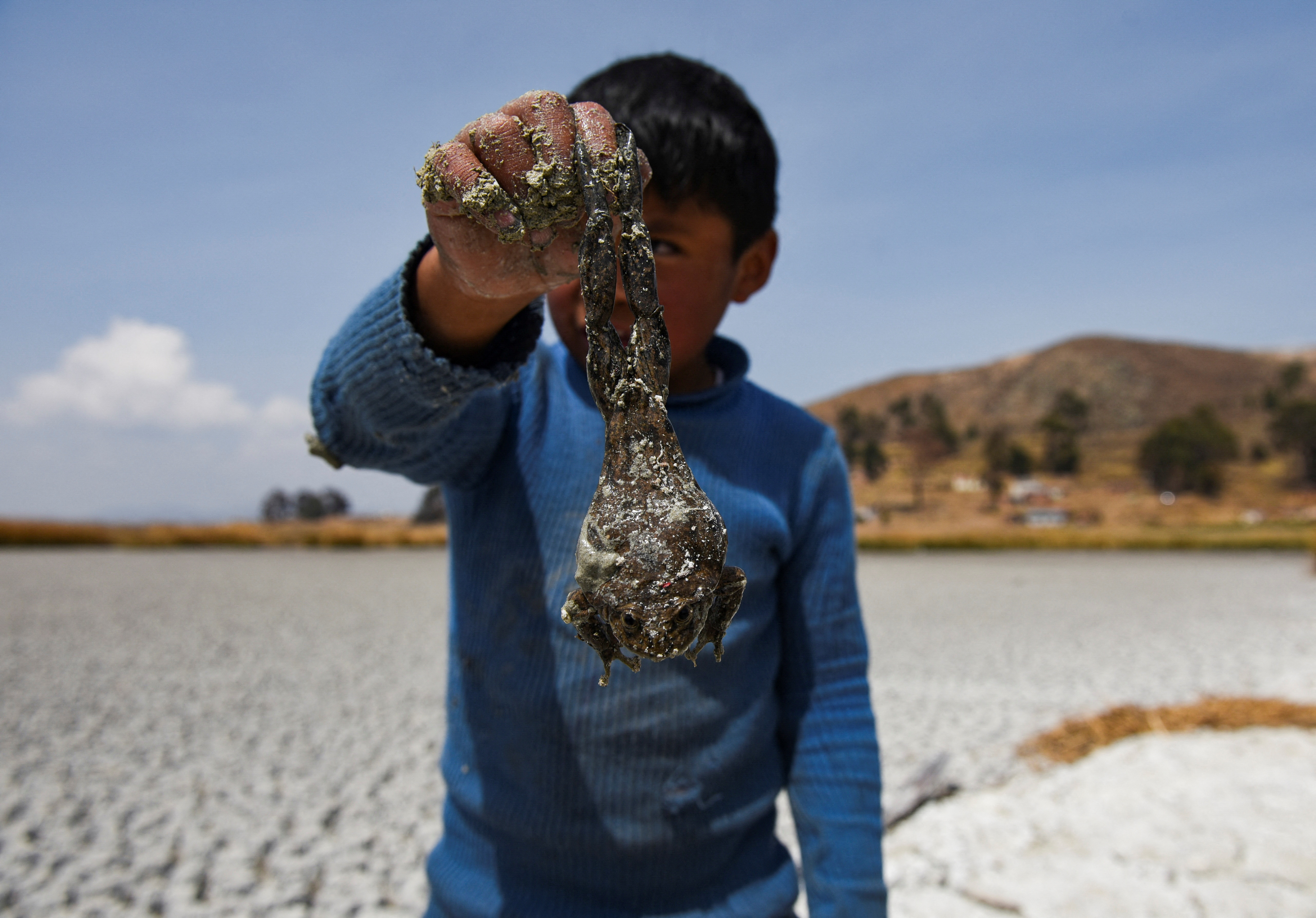 Lake Titicaca shrinks amid extreme drought,on Cojata Island