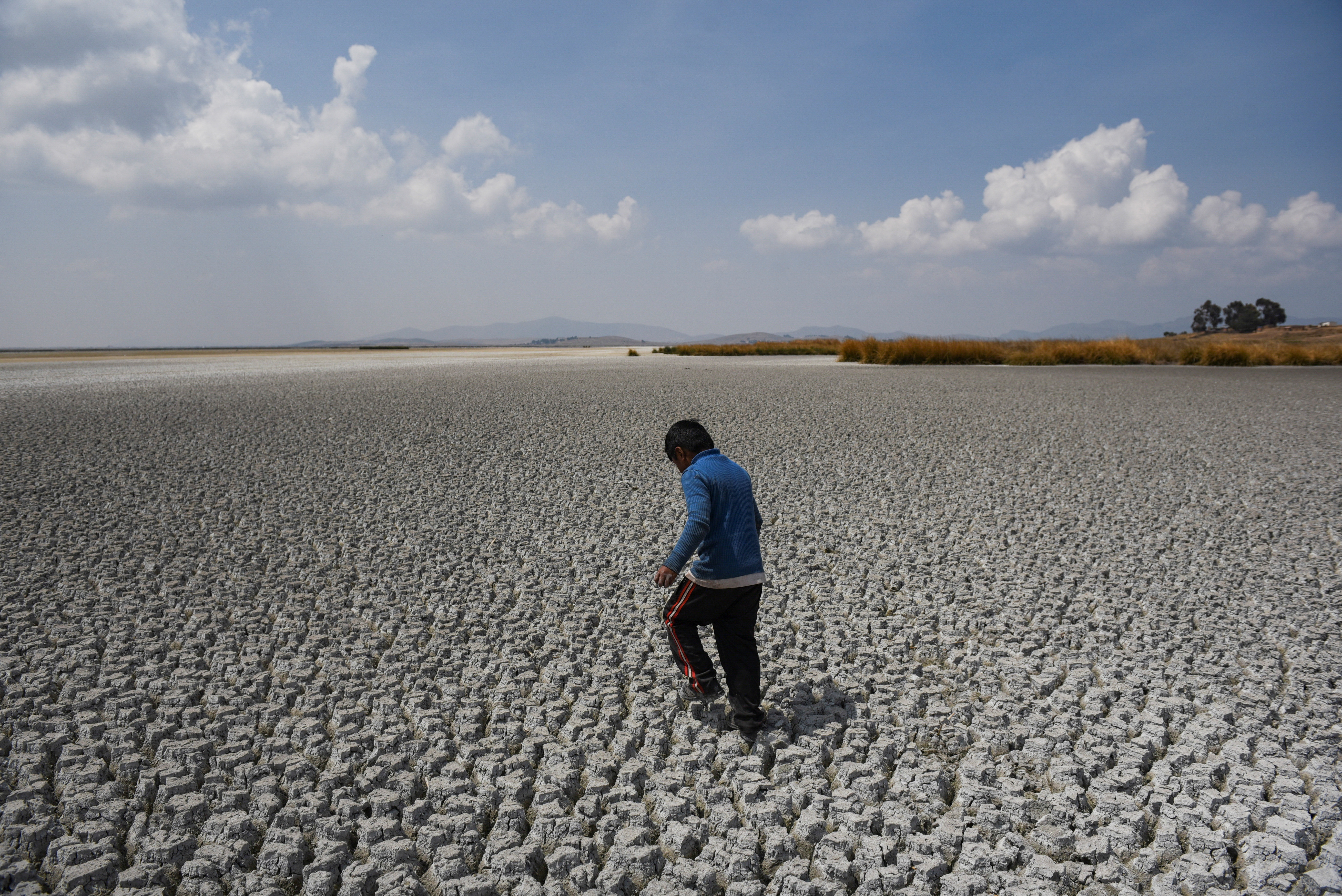 Lake Titicaca shrinks amid extreme drought, on Cojata Island