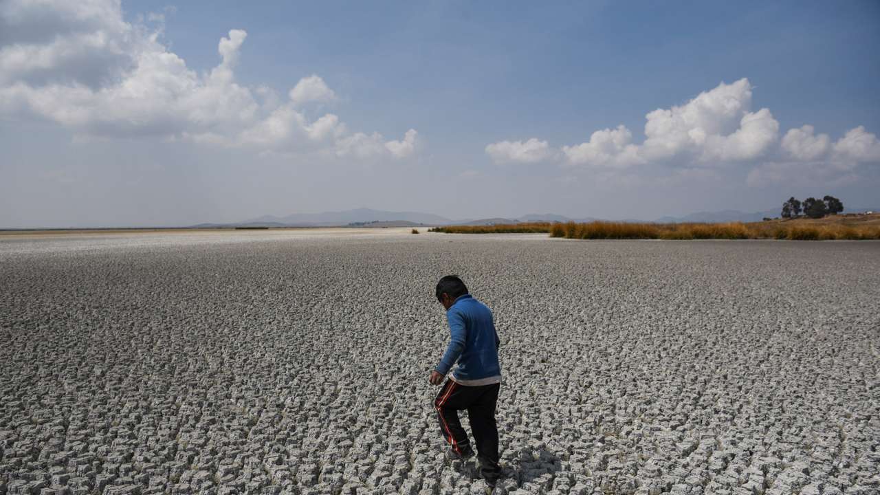 Lake Titicaca shrinks amid extreme drought, on Cojata Island