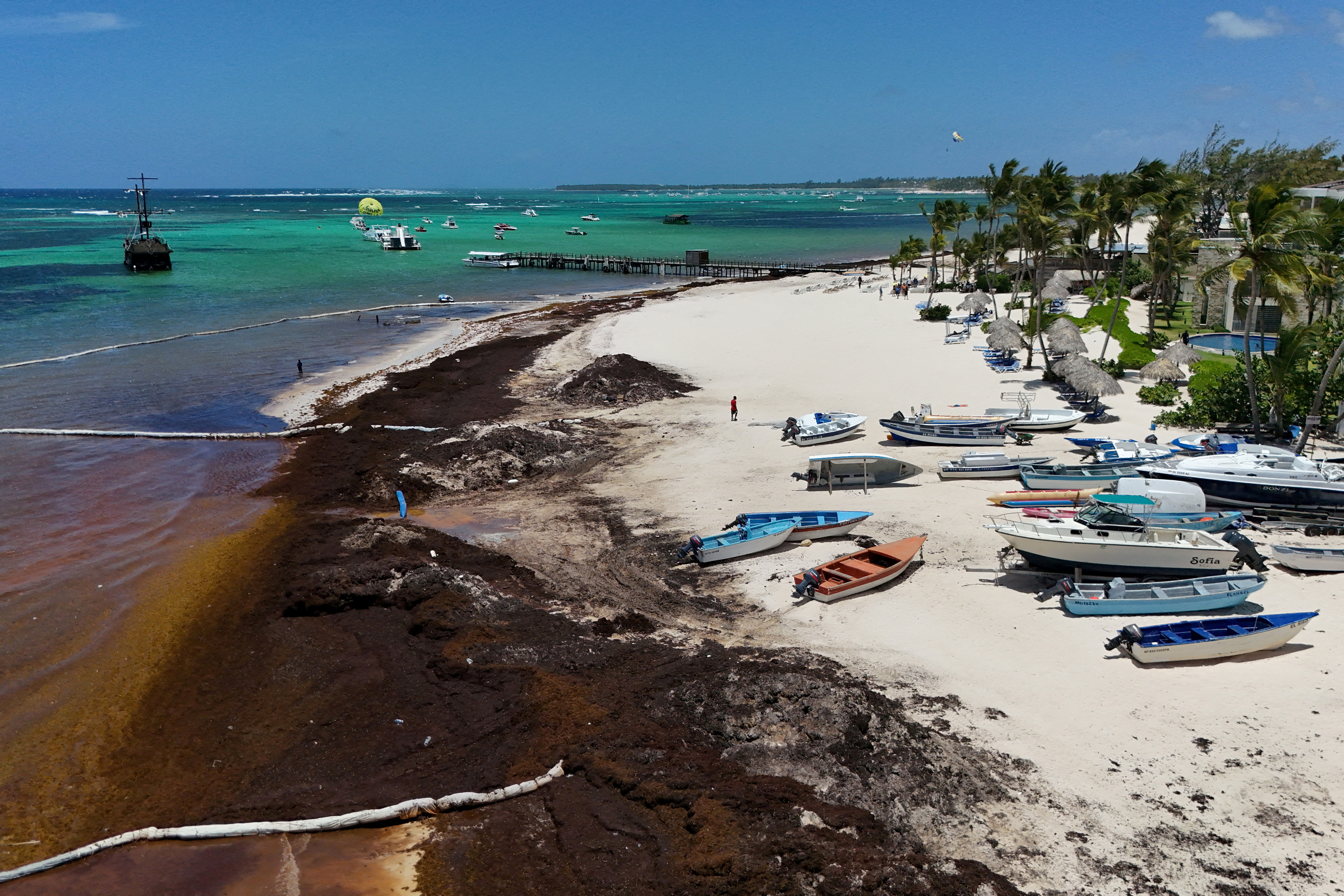 FILE PHOTO: Sargassum seaweed blankets beaches in the Dominican Republic