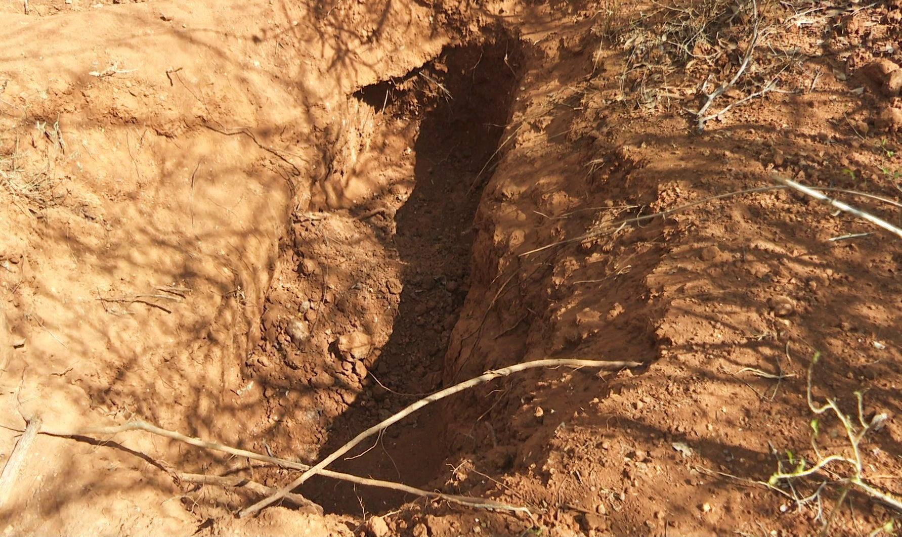 Dozens more bodies found in latest Kenya cult tragedy