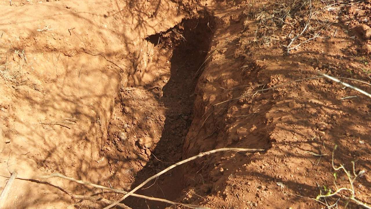 Dozens more bodies found in latest Kenya cult tragedy