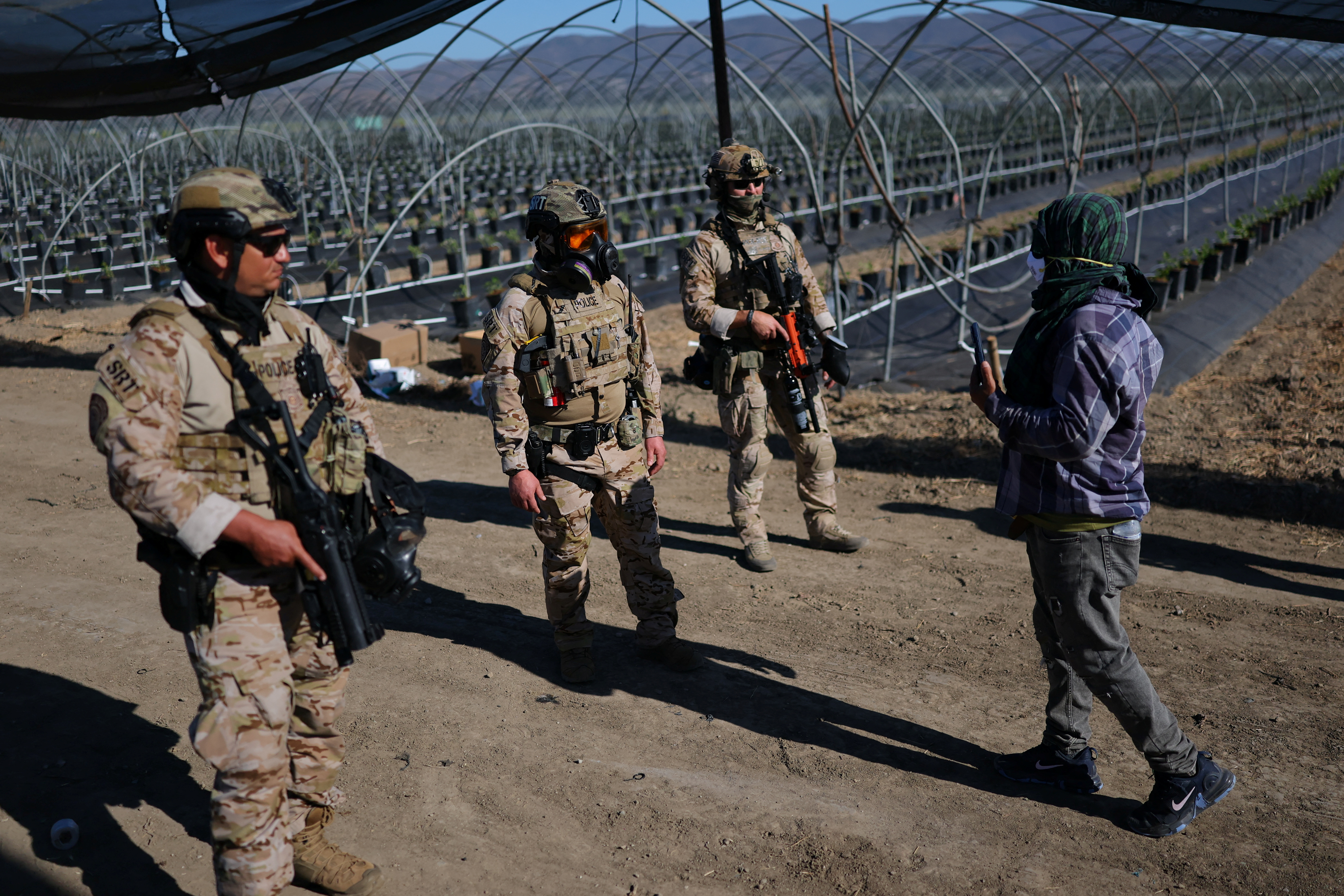 U.S. federal agents and immigration officers raid an agricultural facility in Camarillo