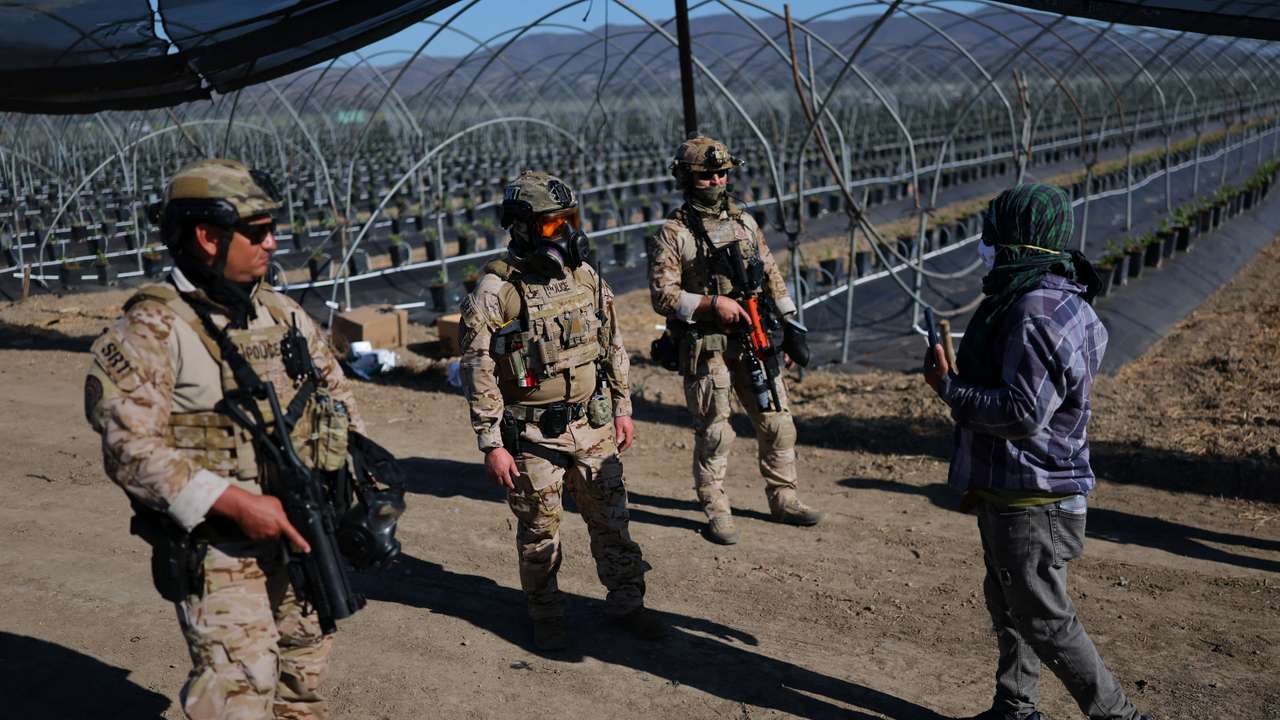 U.S. federal agents and immigration officers raid an agricultural facility in Camarillo