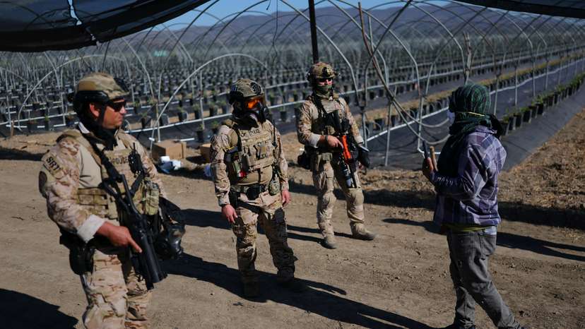U.S. federal agents and immigration officers raid an agricultural facility in Camarillo