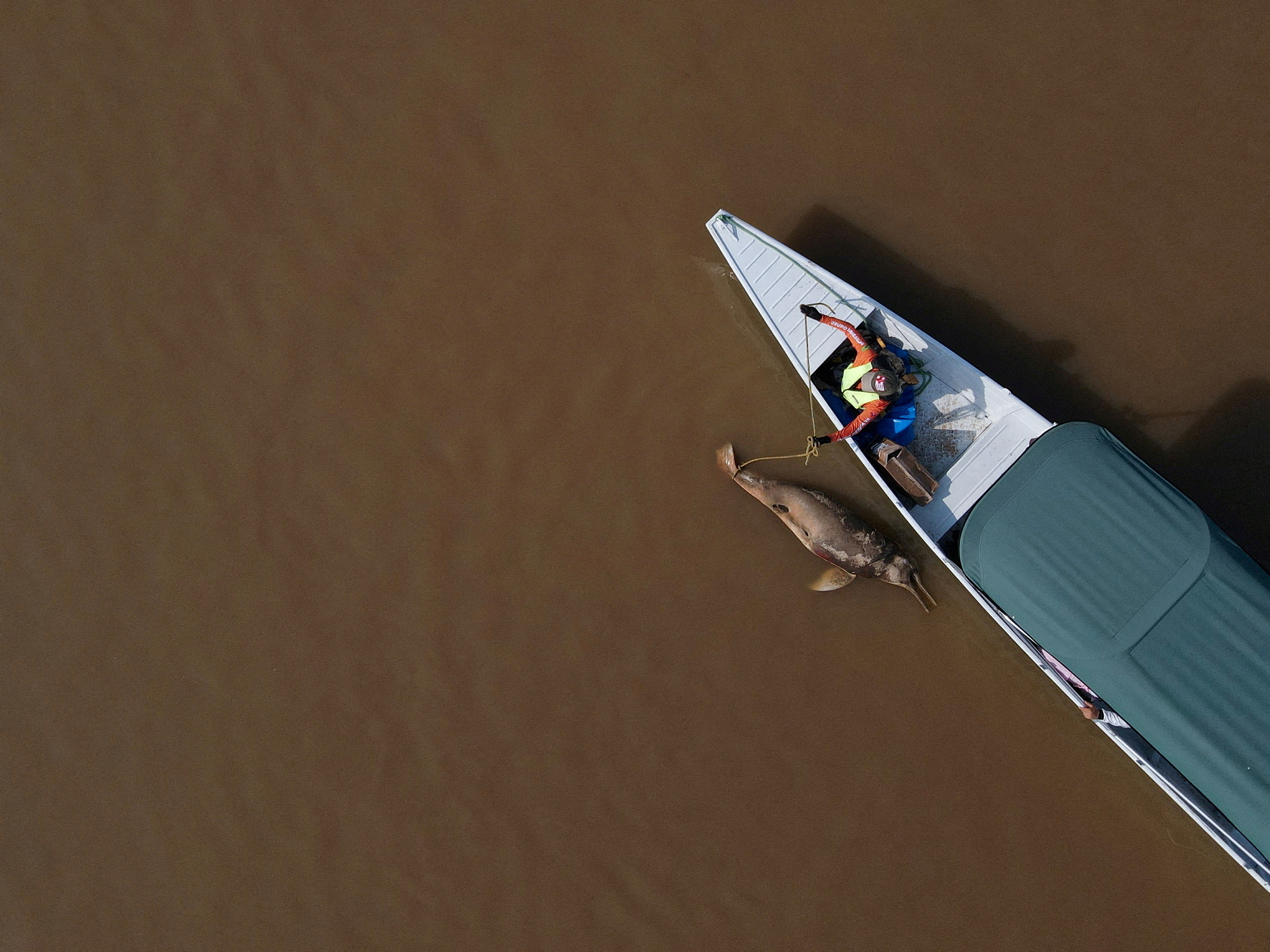 Amazon rainforest's historic drought in Brazil