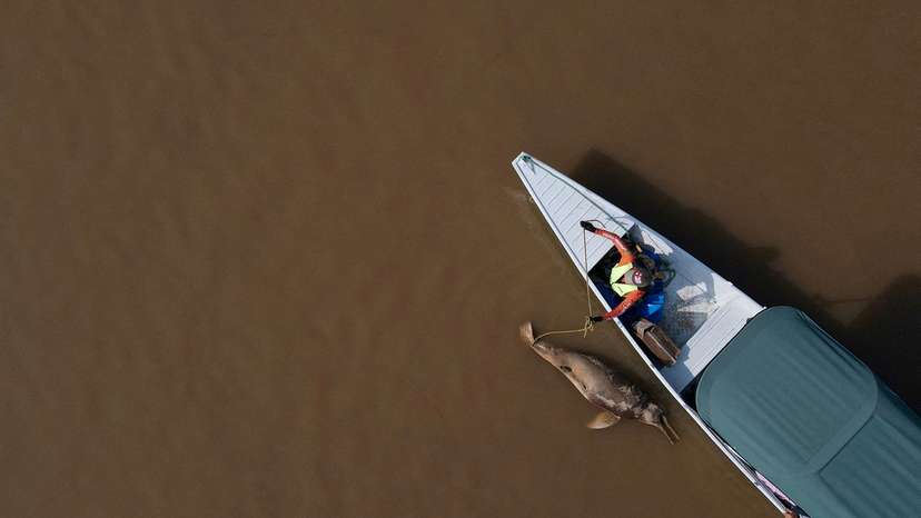 Amazon rainforest's historic drought in Brazil