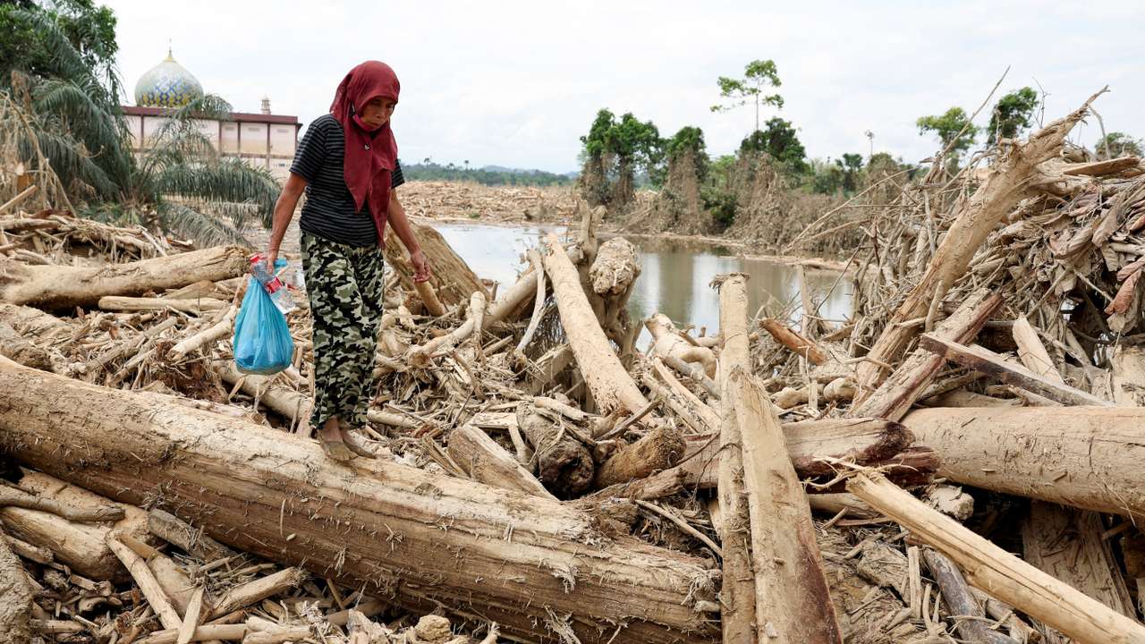 A survivor carries relief supplies while walking through tree trunks that were stranded in an area affected by a deadly flash flood following heavy rains in Karang Baru