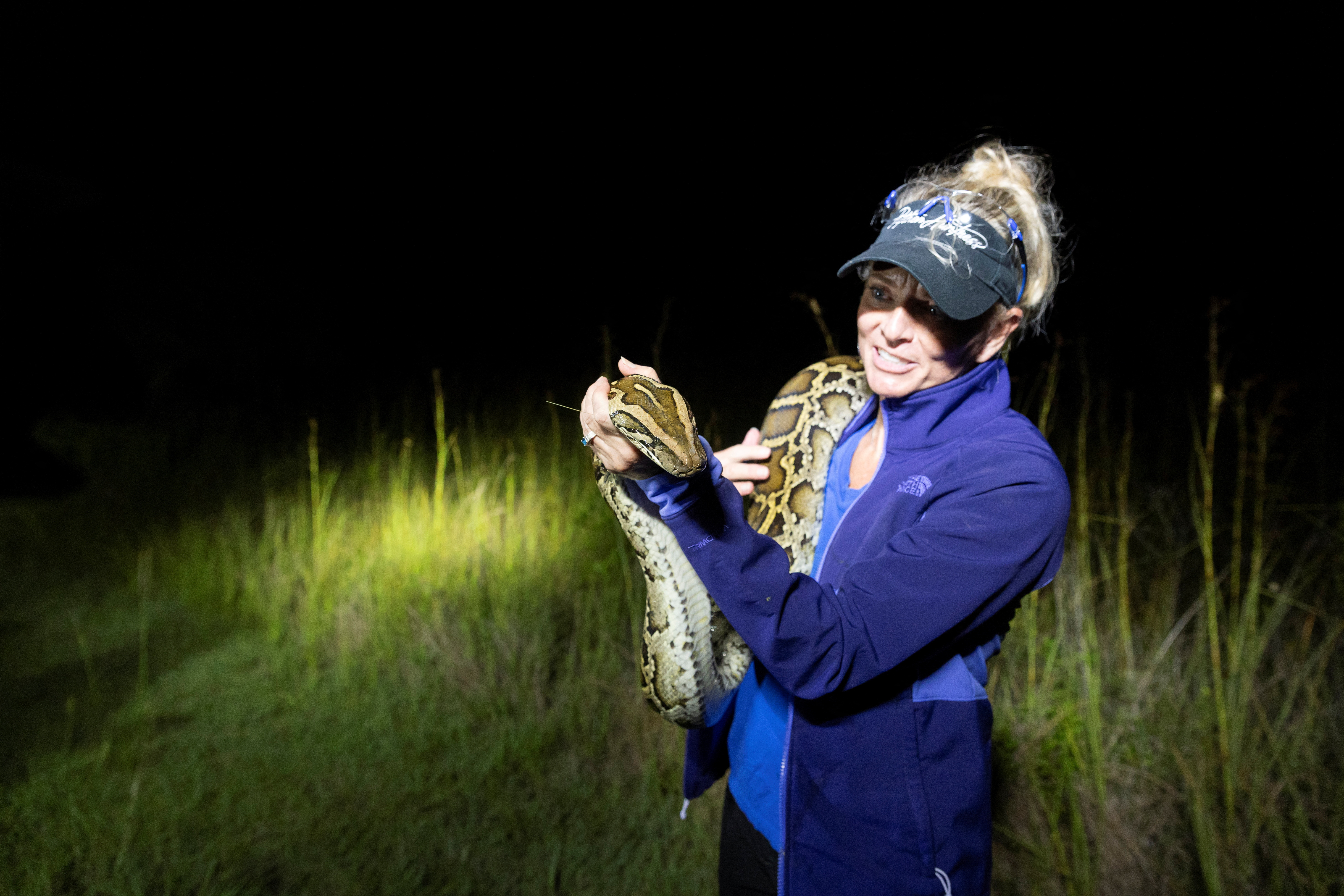 Professional python hunter has a unique approach to the state’s invasive Burmese python species, in the Florida Everglades