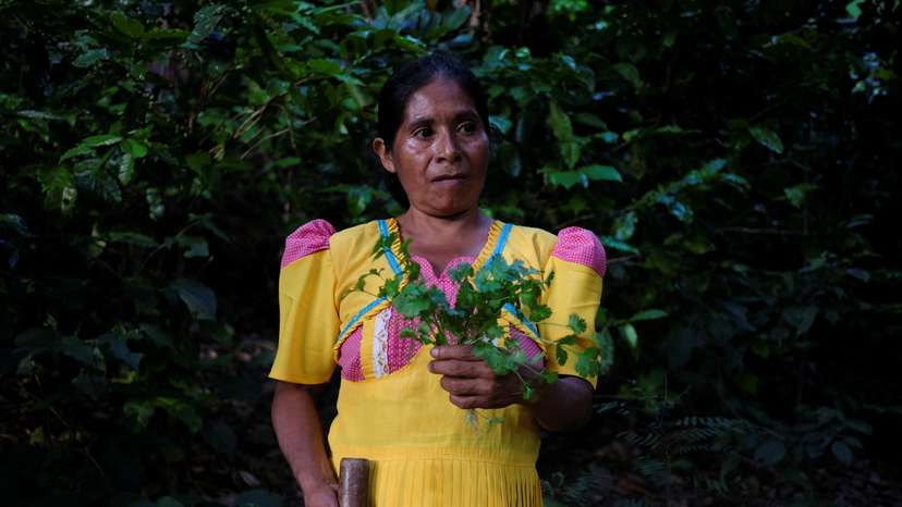 As drought breeds hunger in Guatemala, farming program aims to help