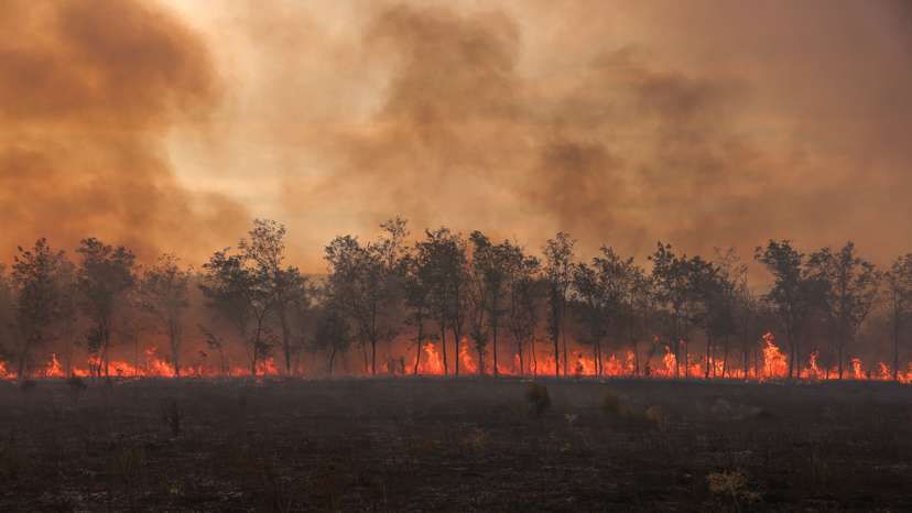 A wildfire still rages in the region of Evros