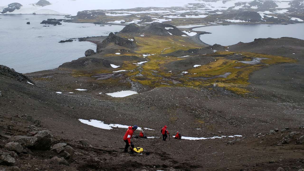 FILE PHOTO: Scientists from the University of Chile collect organic material as they look for a bacteria discovered in Antarctica