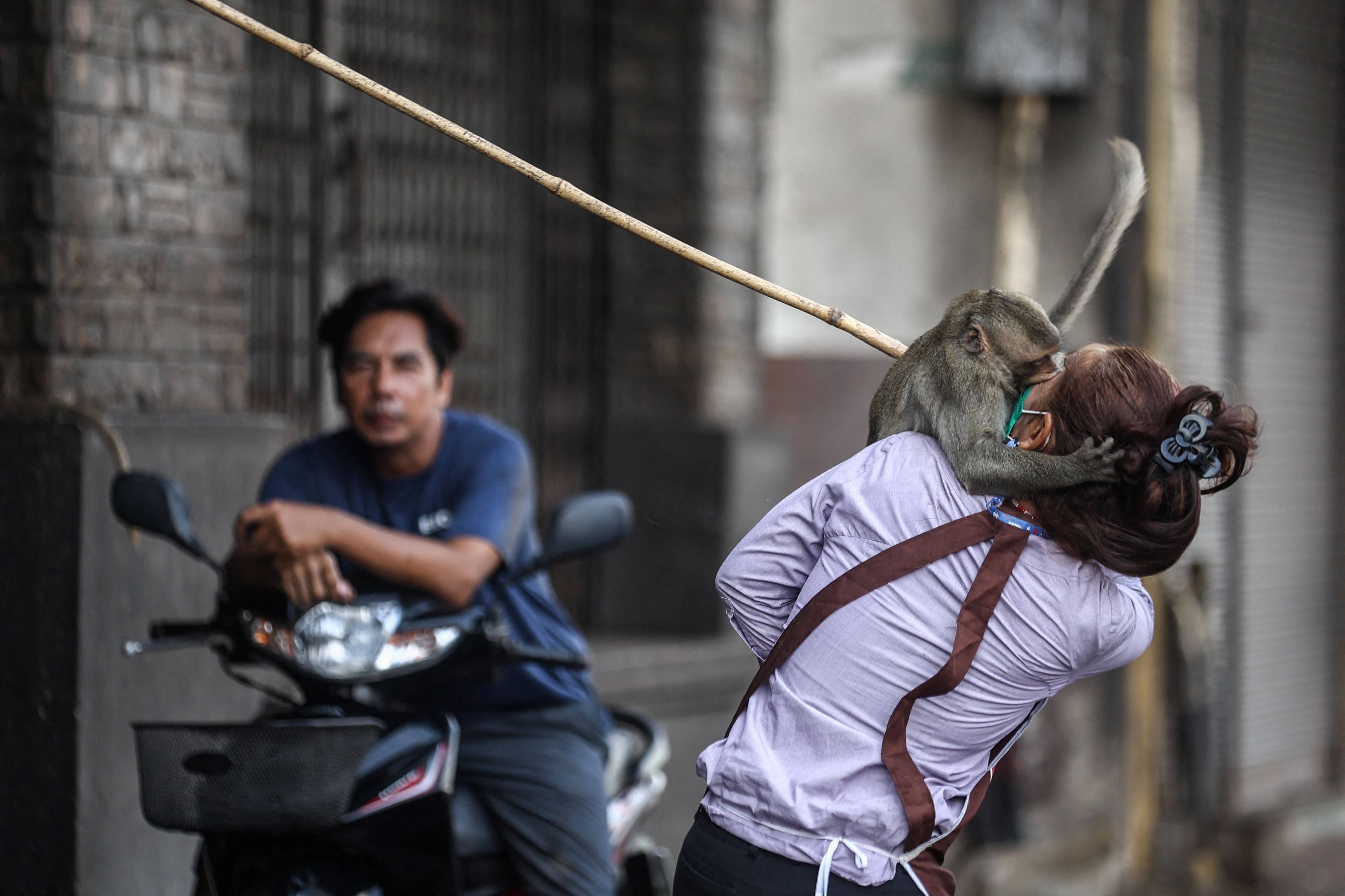 The Wider Image: No more monkey mania in Thai town after clamp down
