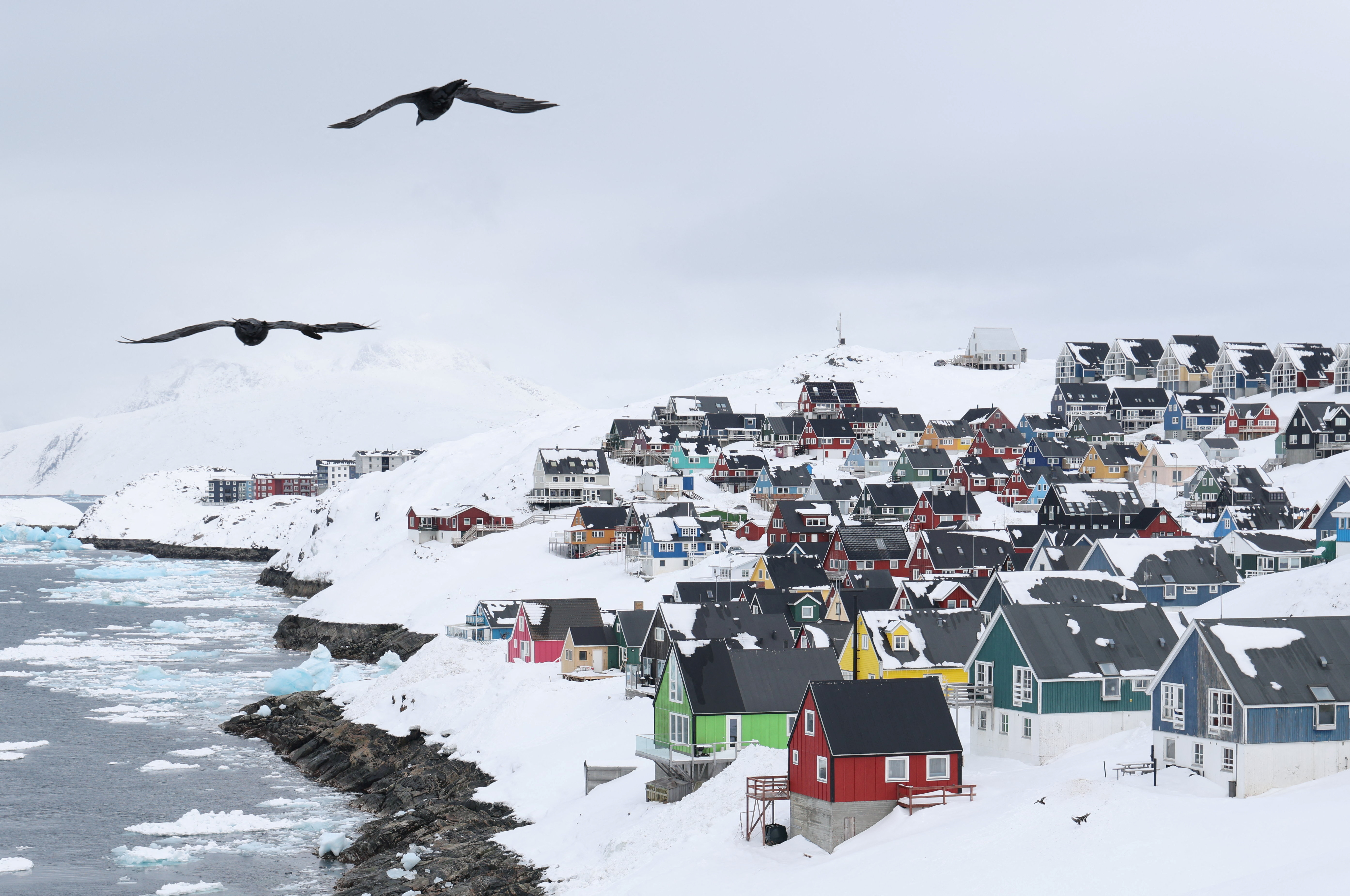 Seagulls passing the old city of Greenland's capital Nuuk