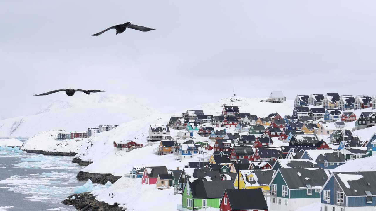 Seagulls passing the old city of Greenland's capital Nuuk