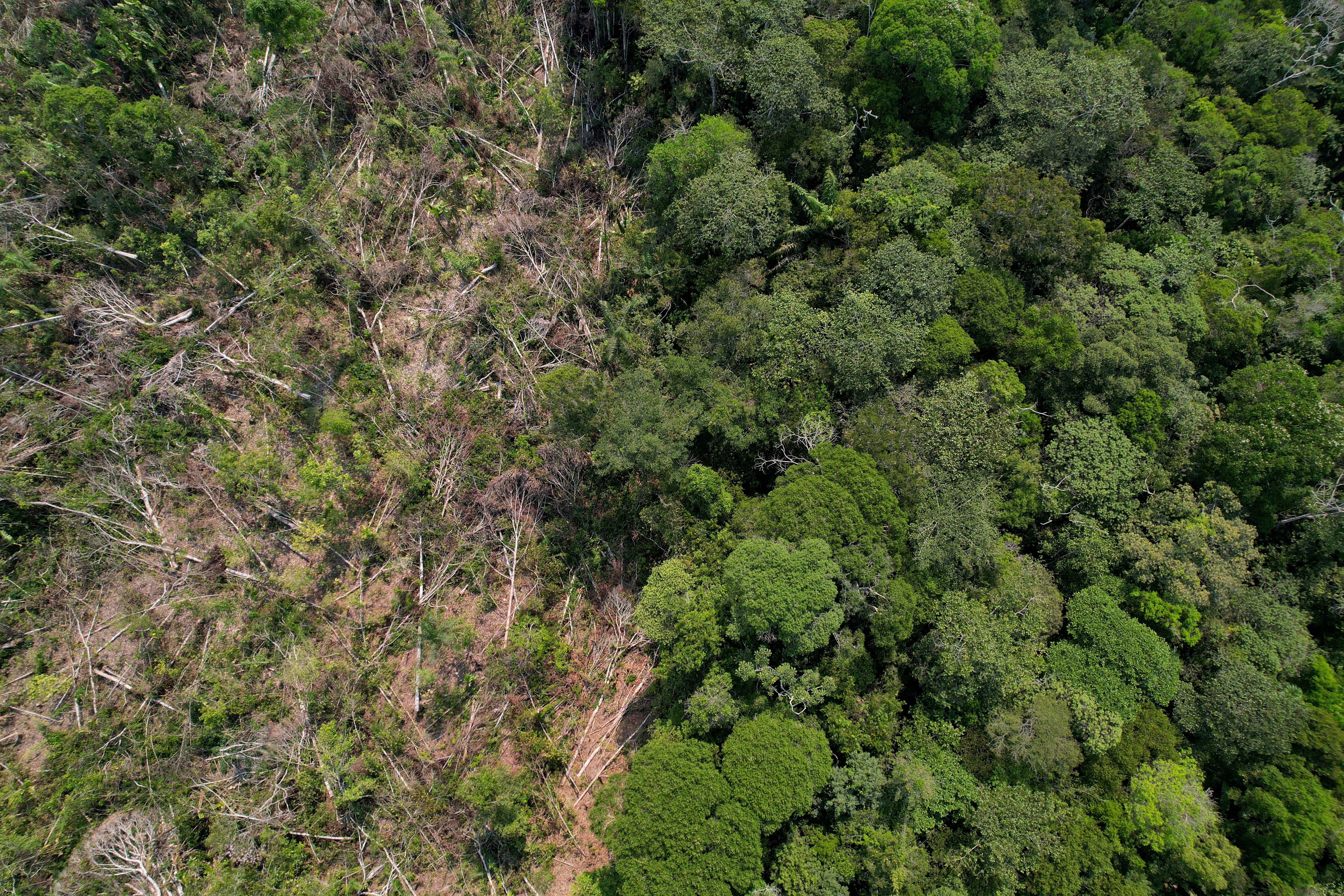FILE PHOTO: A drone view shows a deforested plot of Brazil's Amazon rainforest in the municipality of Humaita