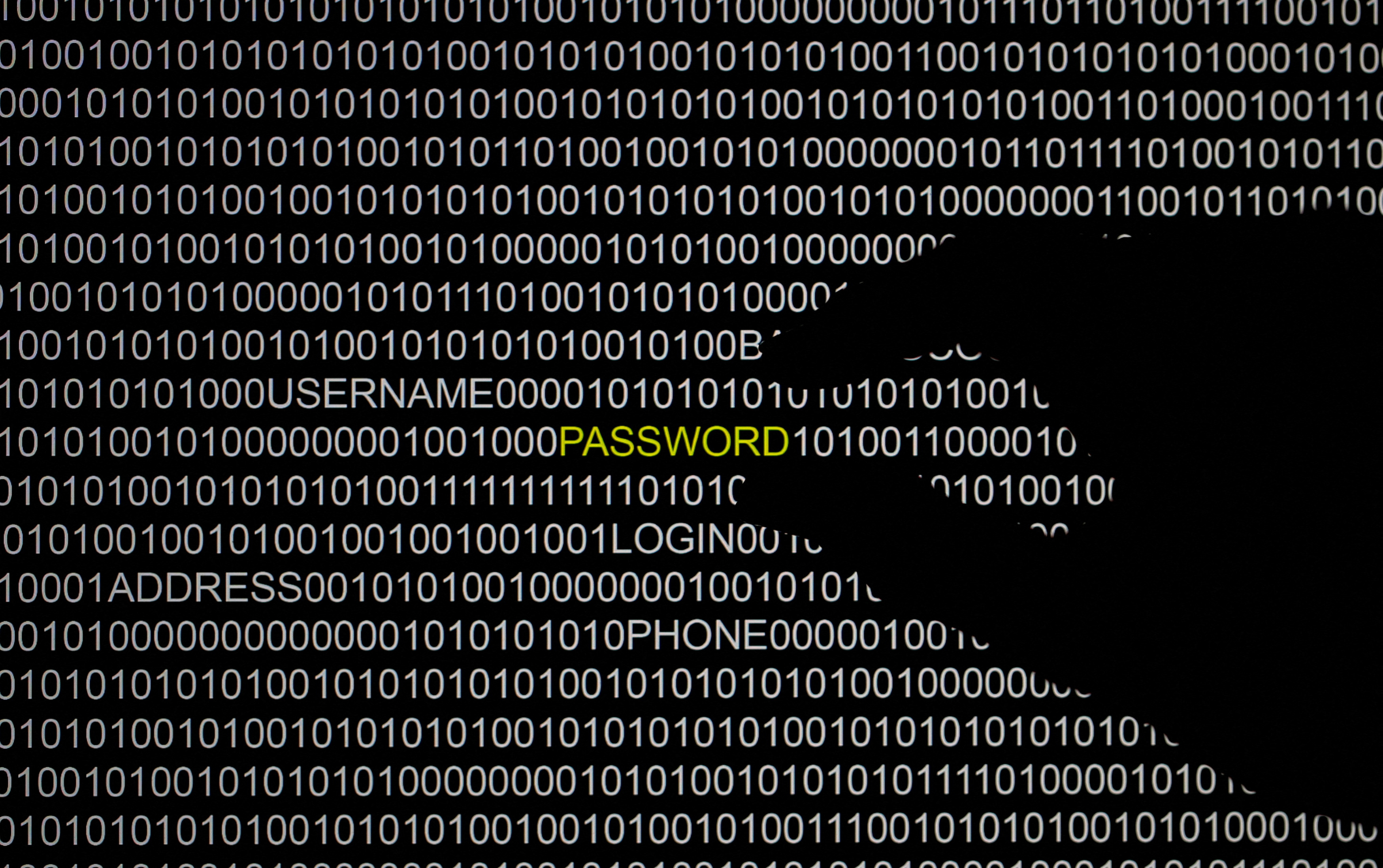 FILE PHOTO: A hand is silhouetted in front of a computer screen in this picture illustration taken in Berlin