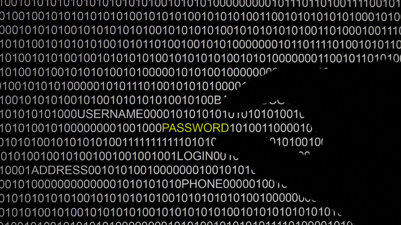 FILE PHOTO: A hand is silhouetted in front of a computer screen in this picture illustration taken in Berlin