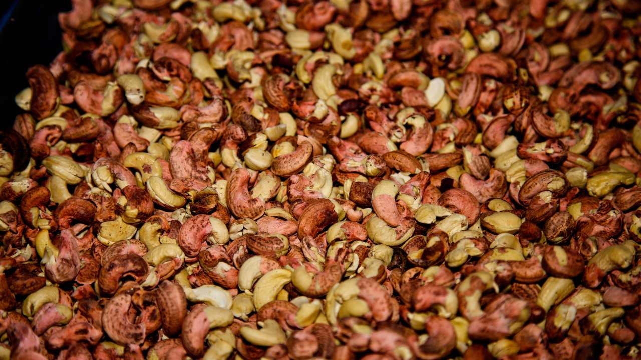 Cashew Nut Factory In Kerala