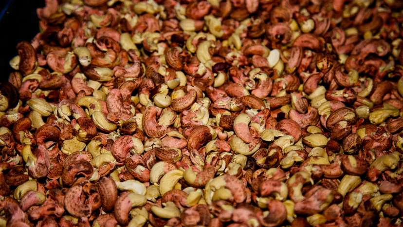 Cashew Nut Factory In Kerala