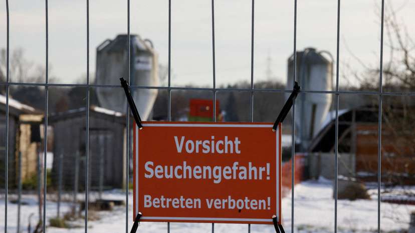 FILE PHOTO: German meat exports face disruption after foot-and-mouth disease case