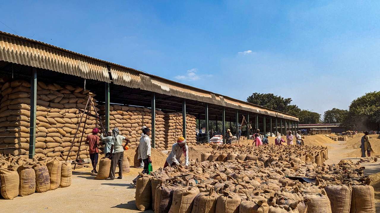 India's rice exports curbs to continue as weather dents output