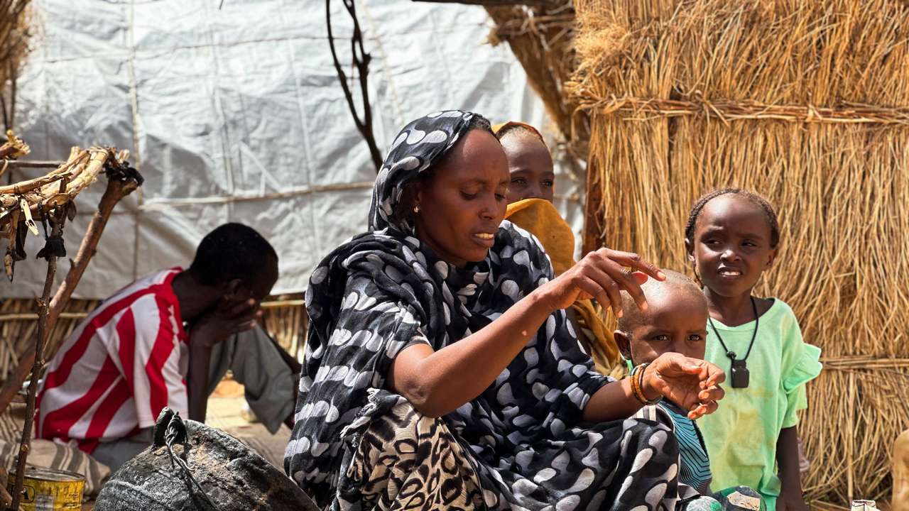 Fight for Sudan's al-Fashir spreading hunger, disease