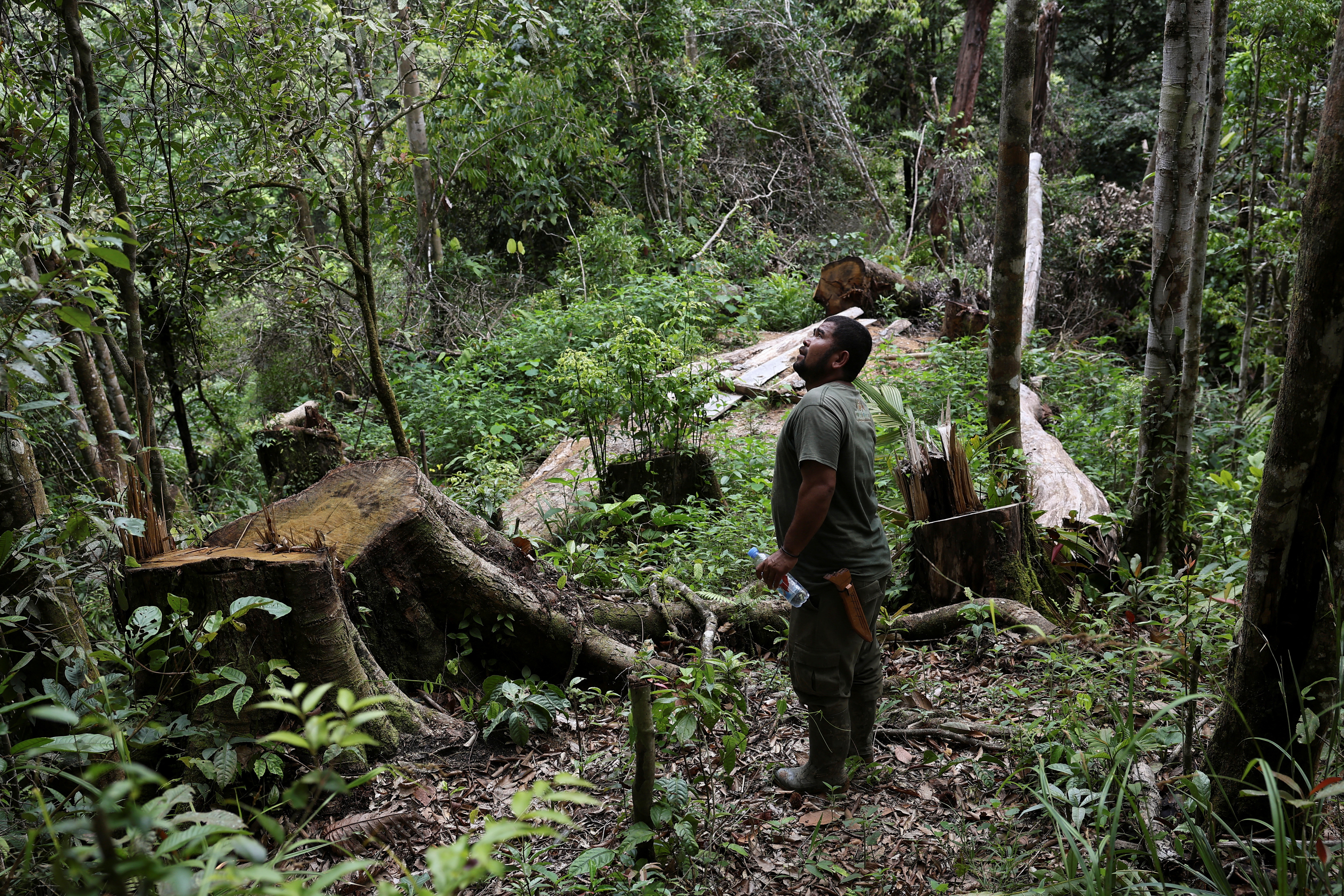 Local ranger Amran Siagian in Sipirok, North Sumatra province