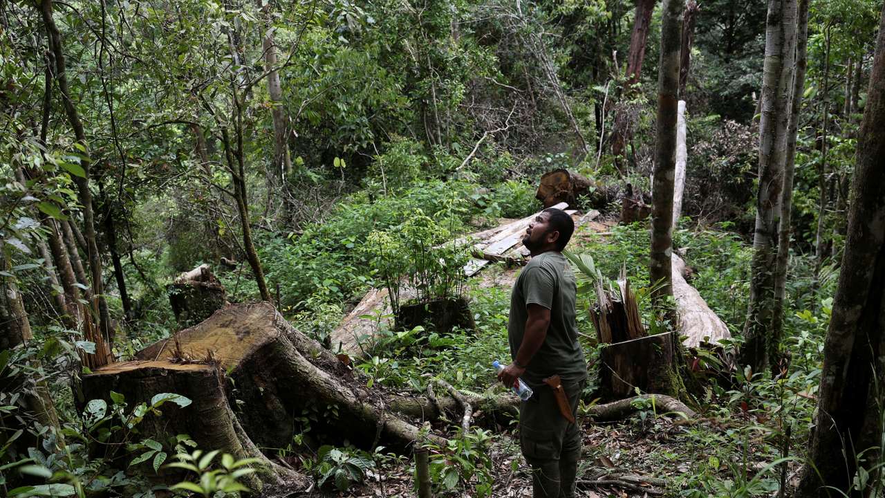 Local ranger Amran Siagian in Sipirok, North Sumatra province