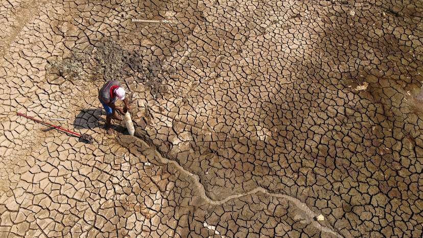Puraquequara Lake affected by the drought, in Manaus