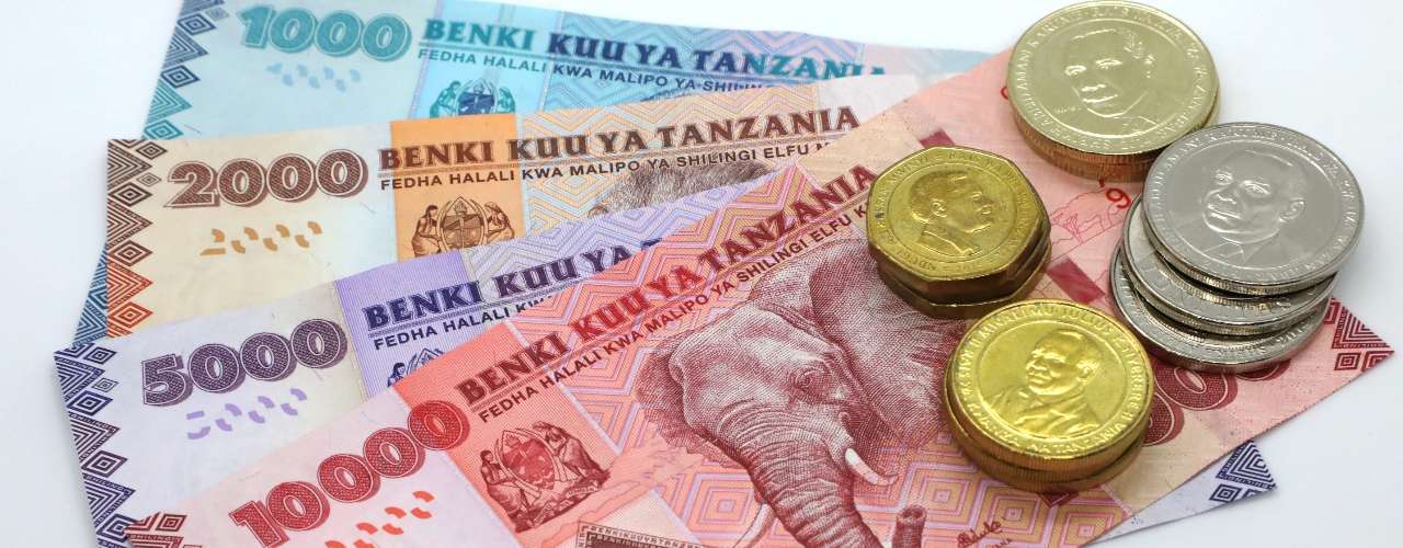 Tanzanian shilling