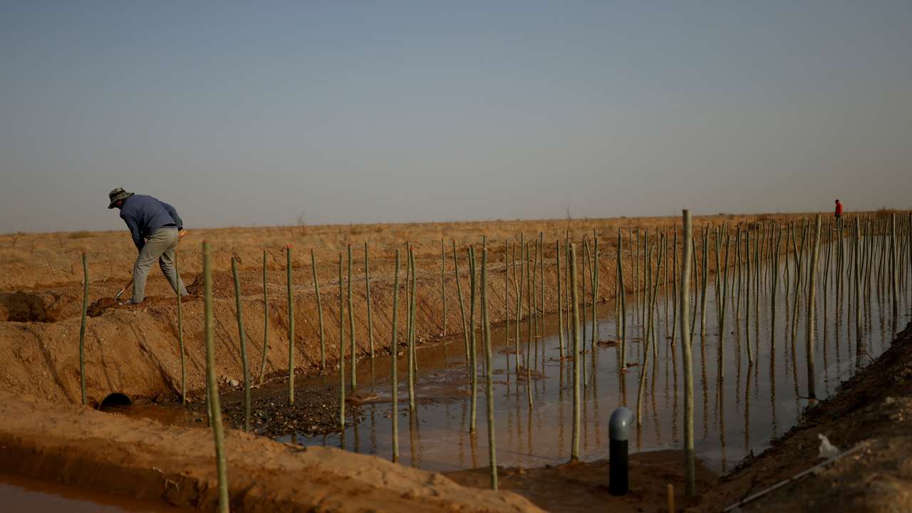 FILE PHOTO: China's food security dream faces land, soil and water woes