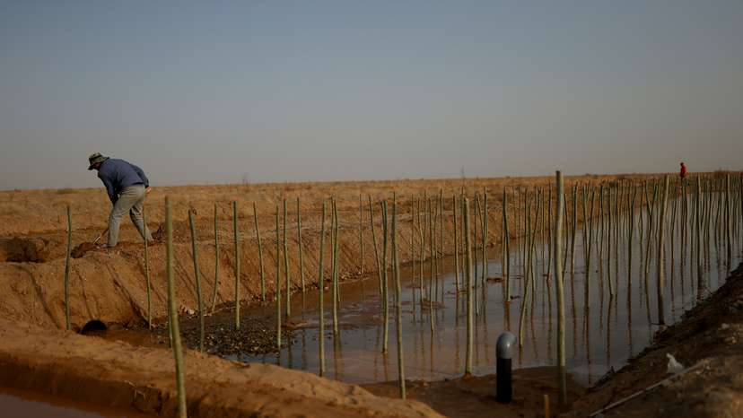 FILE PHOTO: China's food security dream faces land, soil and water woes