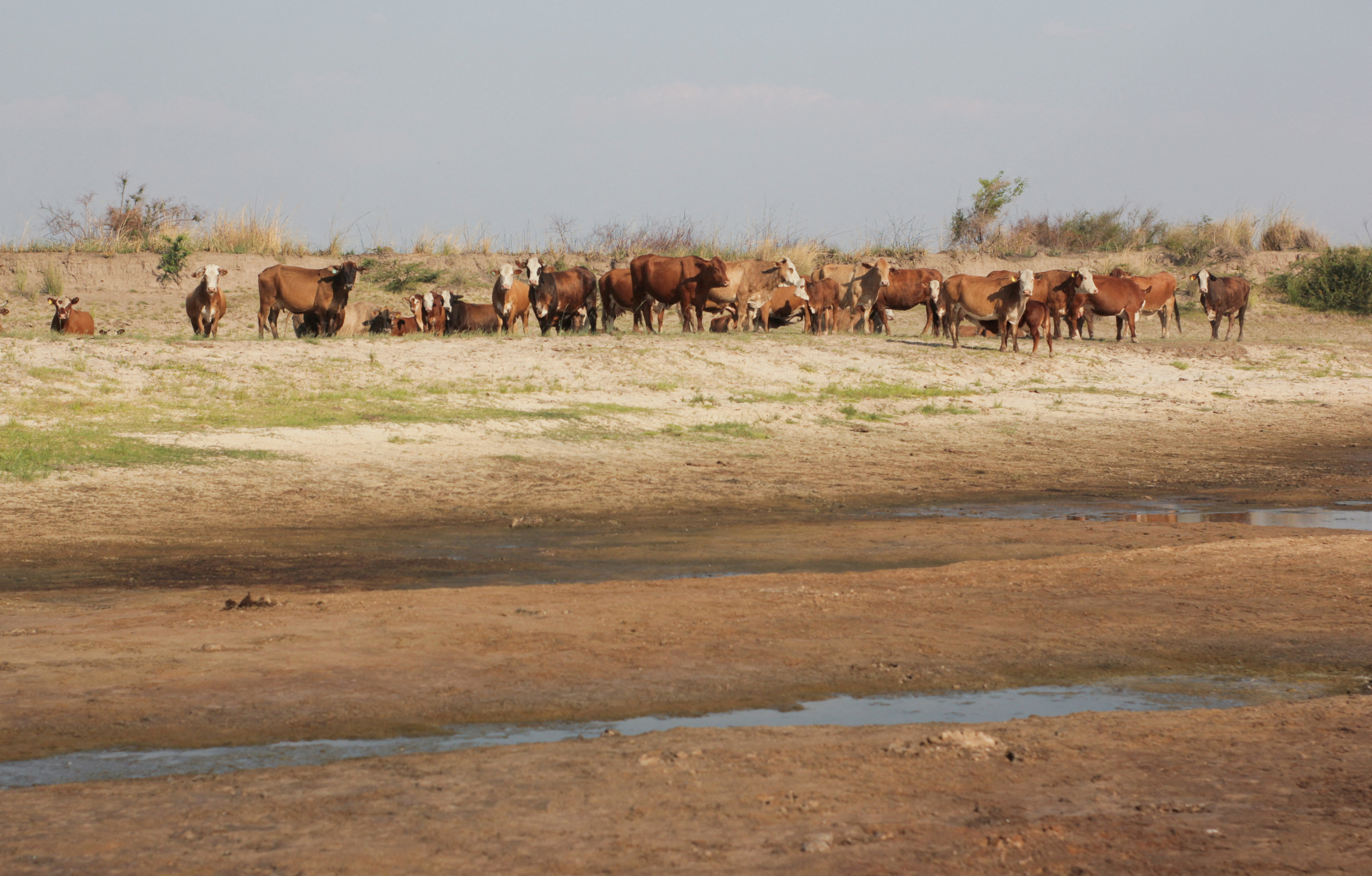 FILE PHOTO: Argentina's severe drought affects landscapes