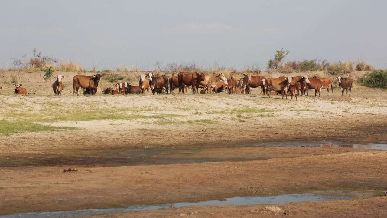 FILE PHOTO: Argentina's severe drought affects landscapes