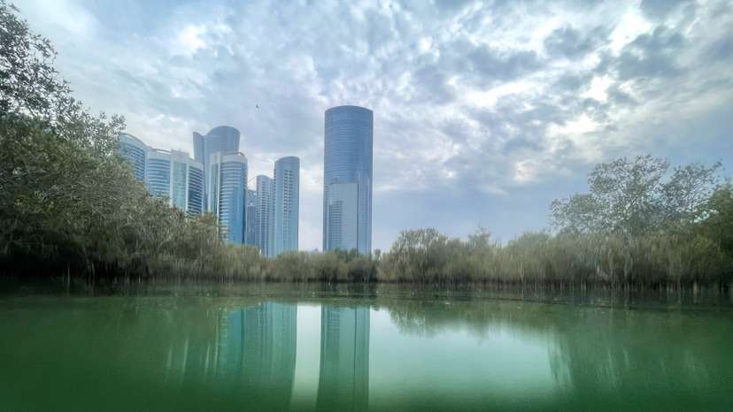 Buildings stand behind mangrove trees at Al Reem Island in Abu Dhabi