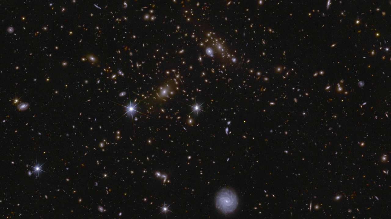Image shows an area of a patch of sky called the Deep Field South observed by the Euclid space telescope