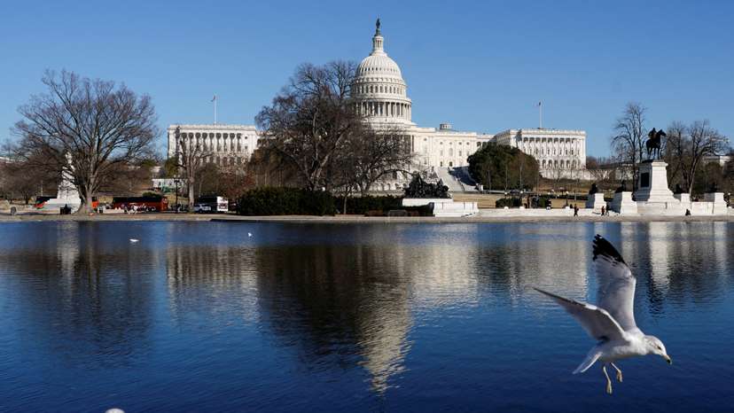FILE PHOTO: A bird flies near the U.S. Capitol building in Washington