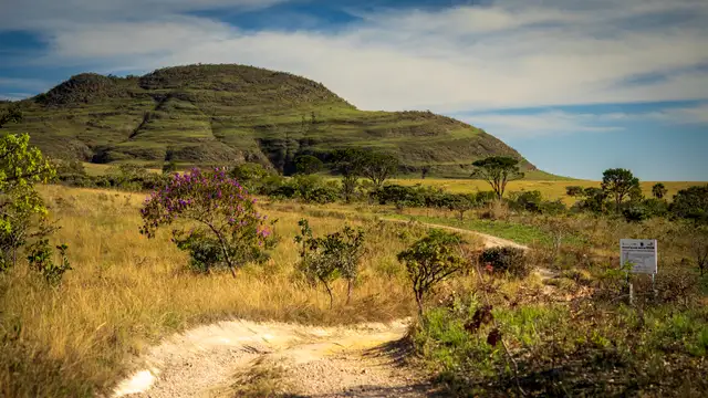 Cerrado brasileiro: projeto de restauração da Araticum foi reconhecido pela ONU.