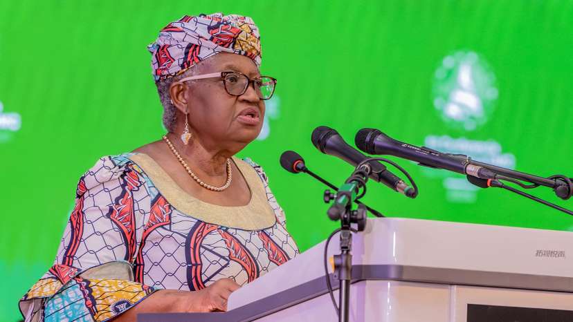 Opening of 14th WTO ministerial meeting in Cameroon