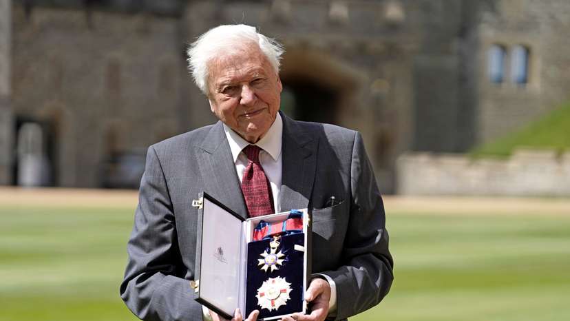 Investitures at Windsor Castle
