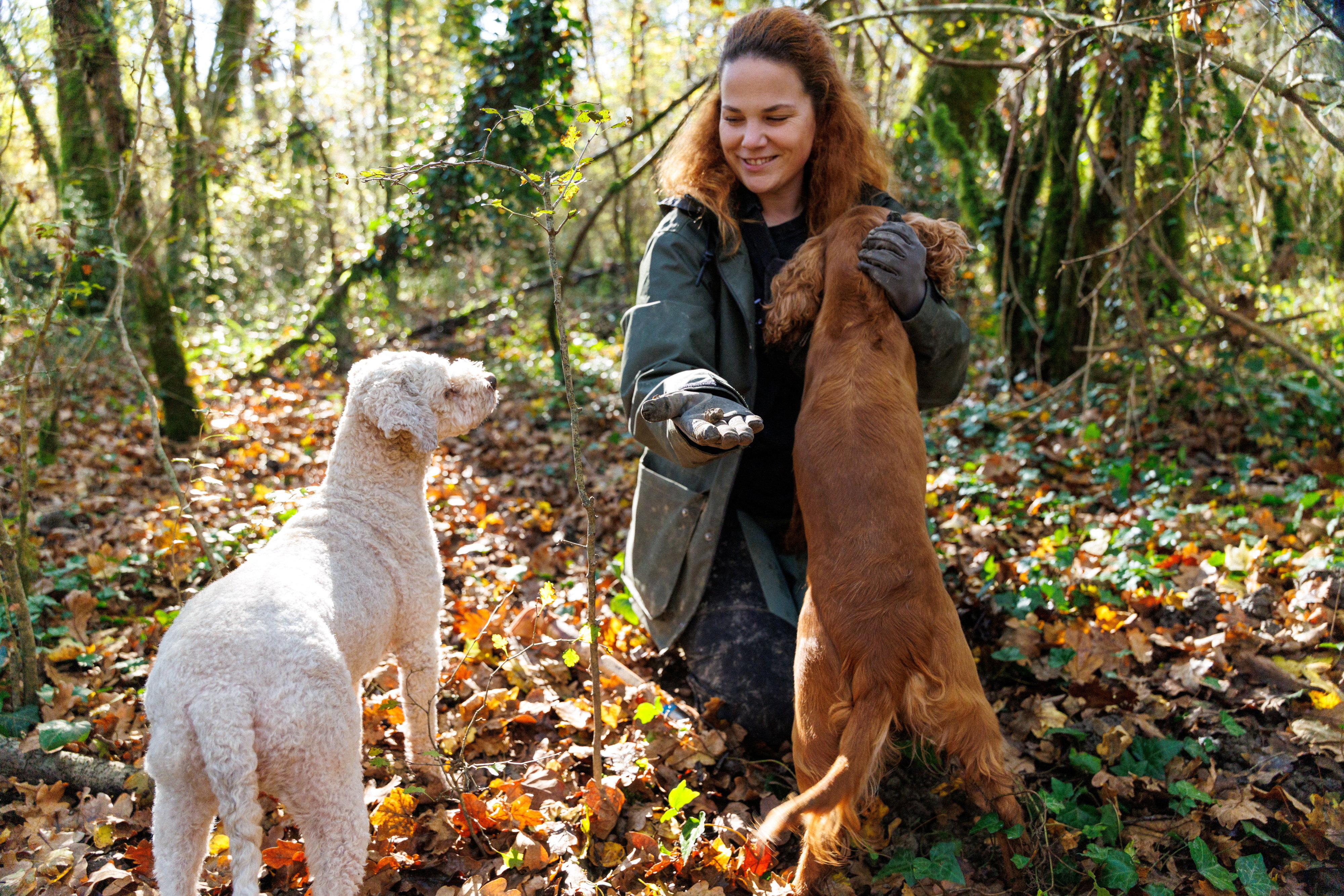 Ivana Karlic Ban shows off a truffle after finding it in the woods near Buzet