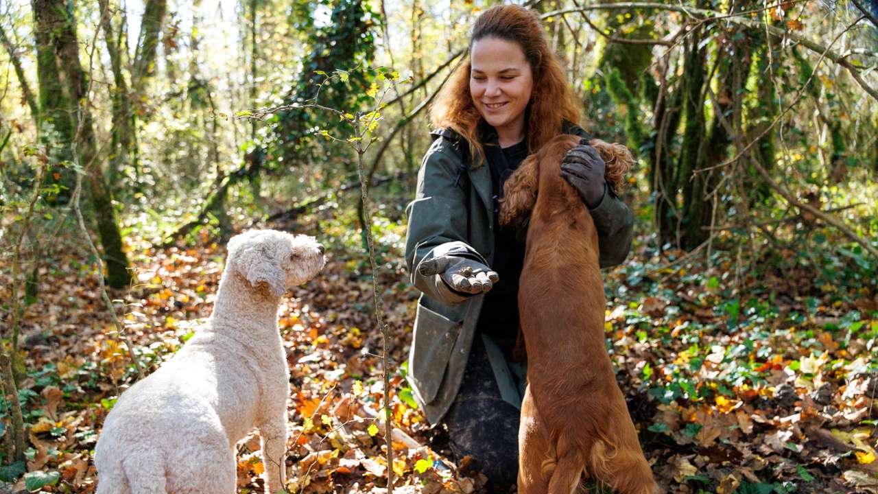 Ivana Karlic Ban shows off a truffle after finding it in the woods near Buzet